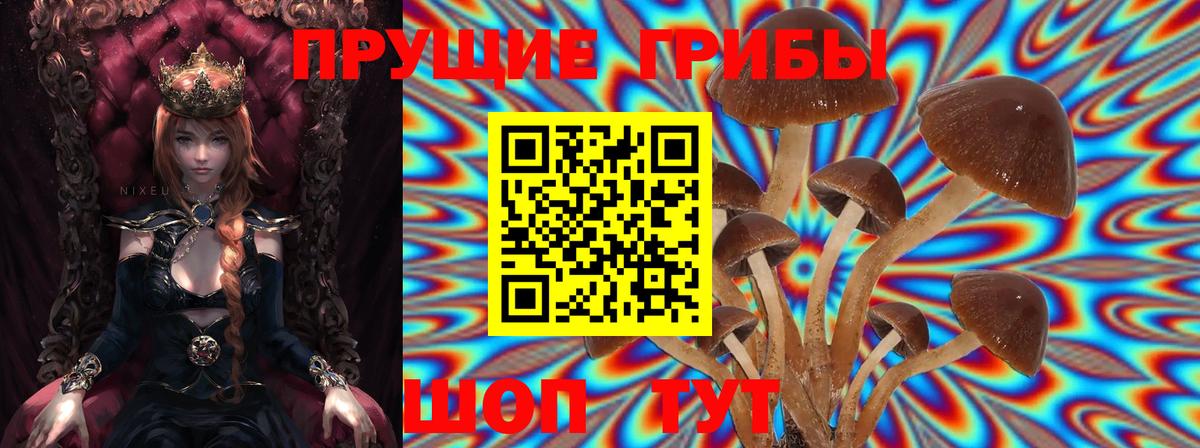 Псилоцибиновые грибы мухоморы Добрянка